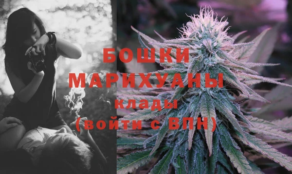 шишки Михайловка